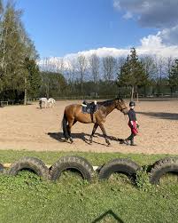 Image result for Reading University Riding Club