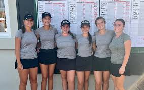 Image result for Cheam Girls Gc