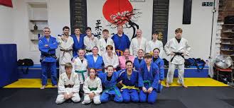 Image result for Merseyside judo association