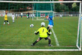 Image result for New Latchingdon Youth Football Club
