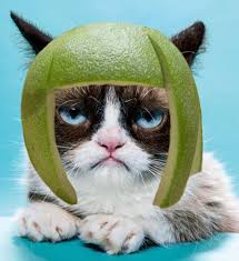 Image result for limecat