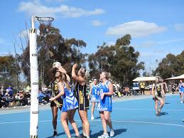 Image result for Robins Netball Club