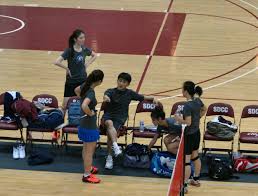 Image result for Fylde Ivc Badminton Club