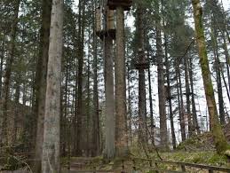 Image result for Go Ape! Grizedale