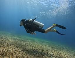 Image result for Deep Blue Diving