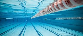 Image result for Plymouth Leander Swimming Association