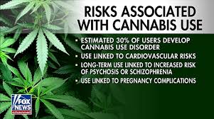 Resultado de imagen para la marihuana channel