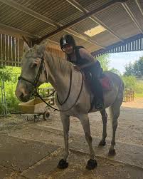 Image result for Oxford Riding Club