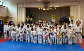Image result for Epsom & Ewell Karate Club