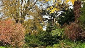 Image result for Victoria Park Bowling Club (Bath)