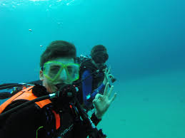 Image result for Halton Sub Aqua Club