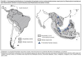 Attēlu rezultāti vaicājumam “undetermined plasmodium”