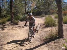 Image result for Bogtrotters Mountain Bike Club
