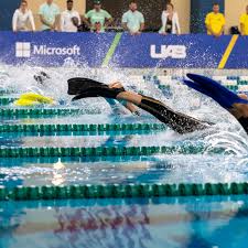 Image result for Swansea Finswimming Club