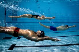Image result for Swimming