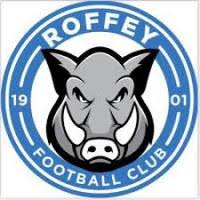 Image result for Crowborough Athletic Football Club