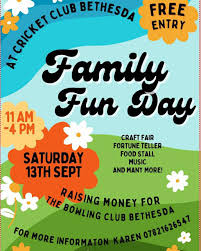 Image result for Clwb Criced A Bowlio Bethesda