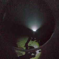 Image result for Apneists UK