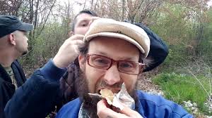 Image result for pálpusztai