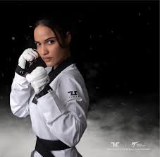 Image result for Vision Martial Arts