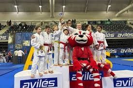 Image result for Micklefield Judo Club