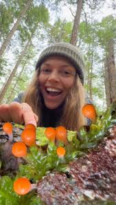 Attēlu rezultāti vaicājumam “Hemitrichia chrysospora spores”