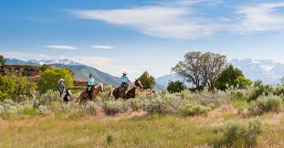 Image result for Elstead Riding Club