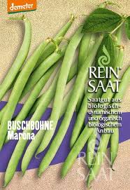 Image result for Buschbohnen