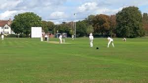 Image result for Fives and Heronians Cricket Club