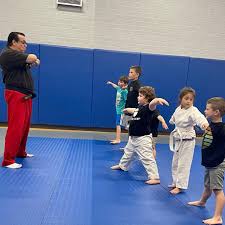Image result for Martial Arts Karate Mesa AZ