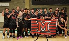 Image result for York University Dodgeball Club