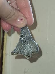 Attēlu rezultāti vaicājumam “Hemitrichia sordivesiculosa macro”