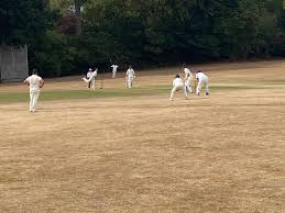 Image result for Battle Cricket Club