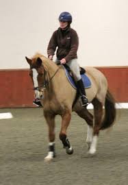 Image result for Chobham and District Riding Club