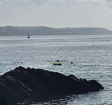Image result for Looe Diving Club