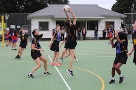 Image result for Speedwell Netball Club