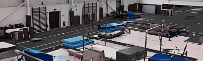 Image result for Forest Of Dean Gymnastics Club