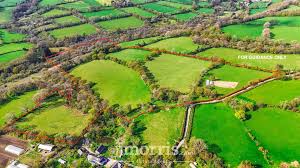 Image result for Whitland