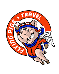 Image result for flying pigs