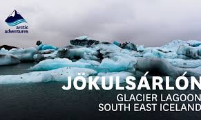 Image result for Ildblomkarse