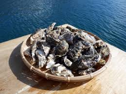 「シゲさん」の画像検索結果