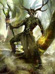 Image result for druid