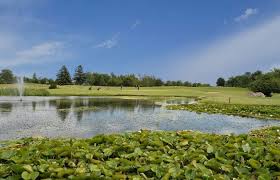 Image result for Witney Lakes Resort