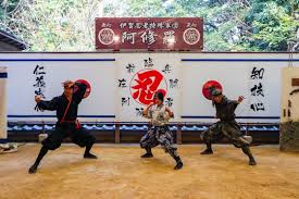 Image result for Hertfordshire Iga Ryu Ninjutsu
