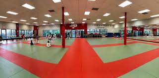 Image result for Weston Academy Of Martial Arts