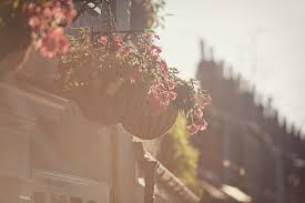 Image result for Ingatestone & Fryerning Cricket Club