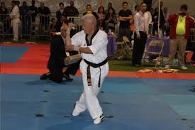 Image result for Dujon Tae Kwon Do