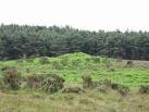 The Bronze Age round barrow at Burnt Axon. Overgrown with bracken, and much - via Daymix