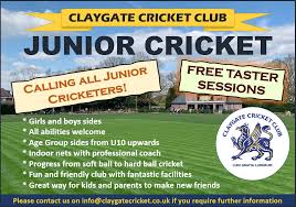 Image result for Claygate Cricket Club