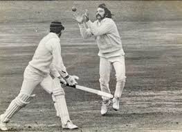 Image result for Henfield Cricket Club